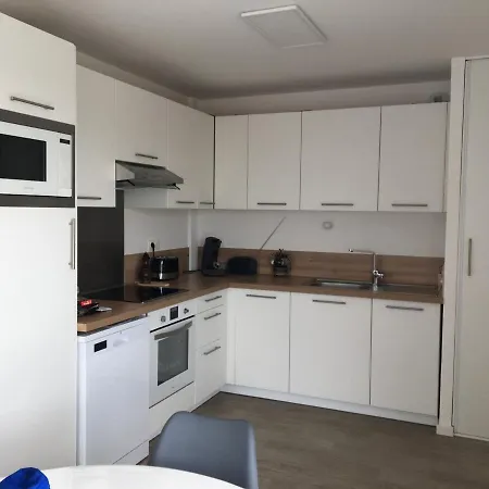 Apartman Spacieux Avec Terrasse Et Parking, En Centre-ville, 3 Chambres, Ideal Famille - Fr-1-482-116 *